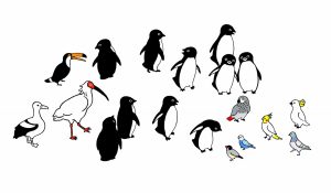 坂崎千春　ペンギンと鳥たちの広場